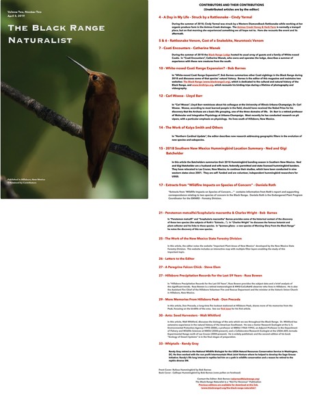 BRN 2-2 total cover (1)