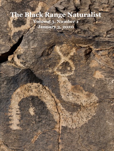 BRN 3-1 Cover