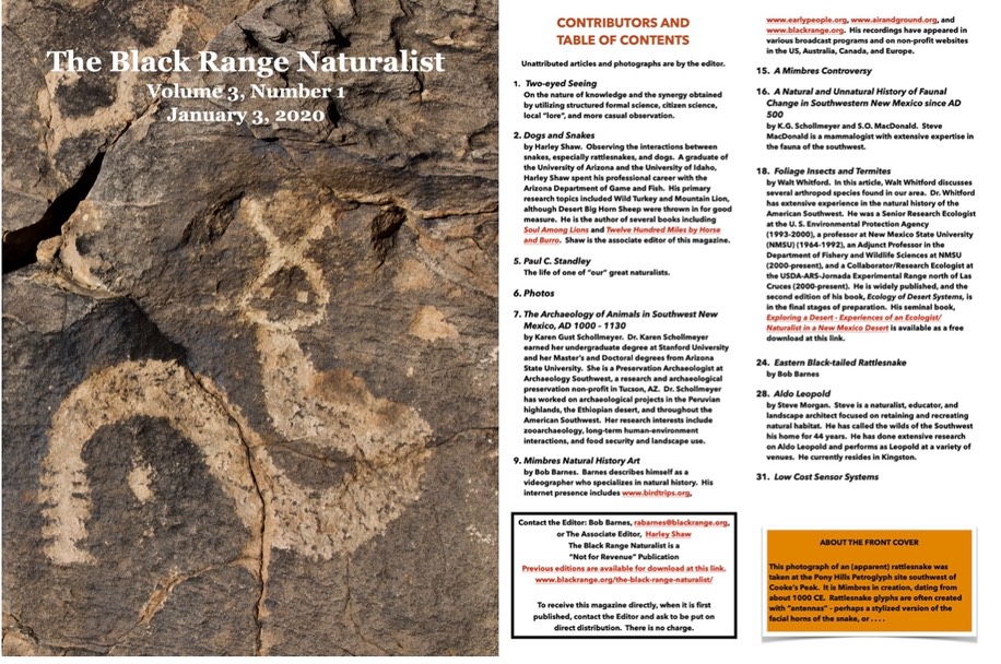 BRN 3-1 total cover