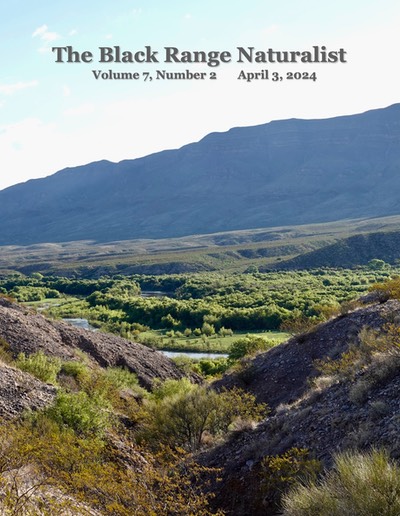 BRN 7-2 Cover