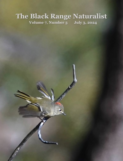 BRN 7-3 Cover
