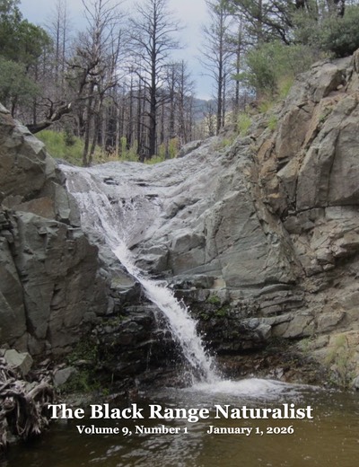 BRN 9-1 Cover