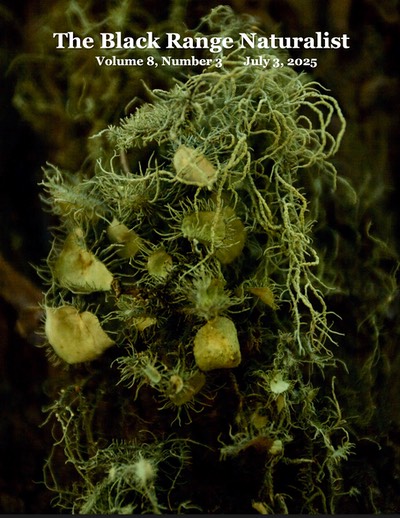BRN8-3 Cover