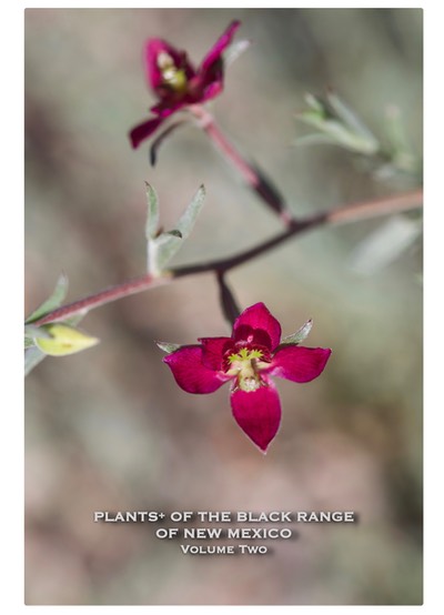 Cover of Plants+ Vol 2