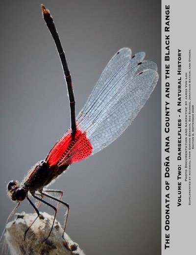 Damselfly Ed. 2 Cover