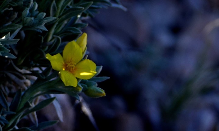 DSC05457 - Version 2