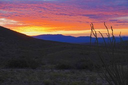 East of Hillsboro, New Mexico2