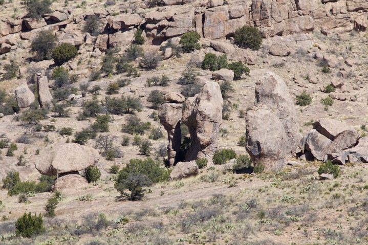 Giant of the Mimbres1