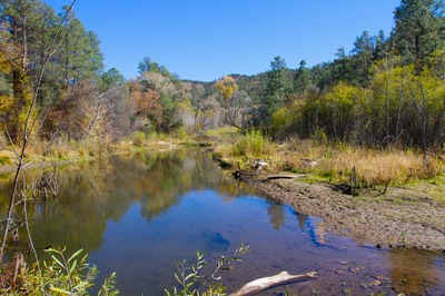 Gila Trout Recovery Area 1