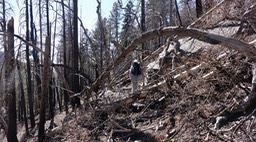Emory Pass to Railroad Canyon Campground