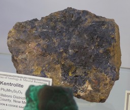 Kentrolite