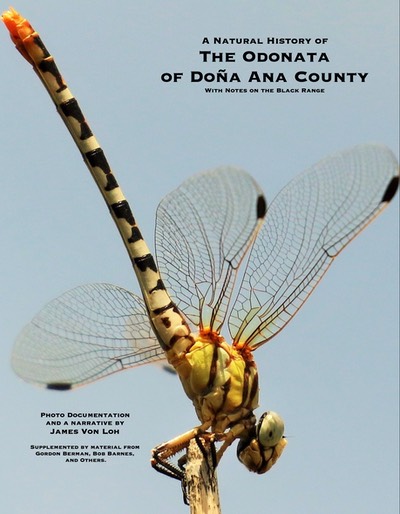 odonata cover