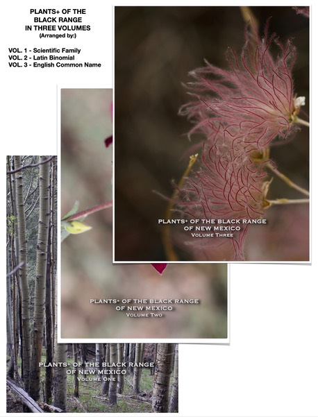 Plants+ grouping