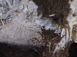 Robinson's Cave, Black Range g