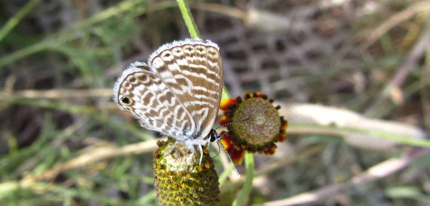 ui=2&ik=331064e97f&view=att&th=1470258c166272e0&attid=0.1