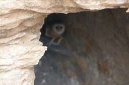 IMG_3328